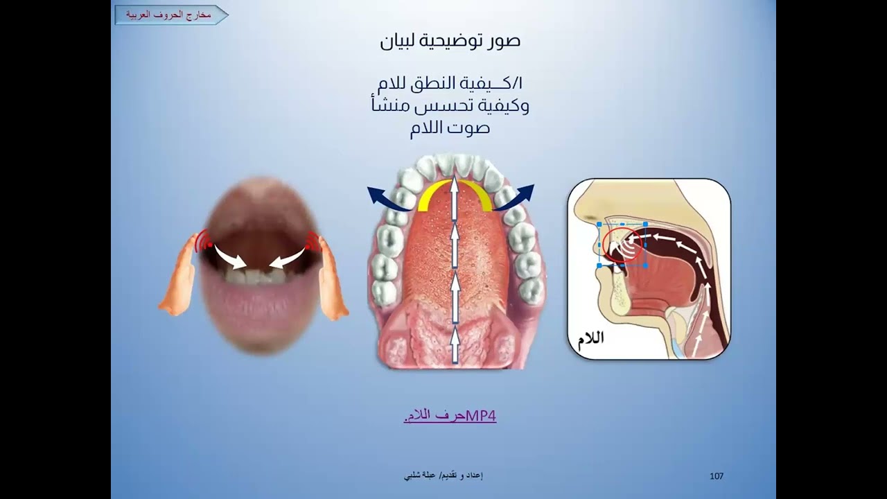تعال نقرأ القرآن صح 👌 ( القراءةالصحيحةلحروفحافةاللسان : اللام )