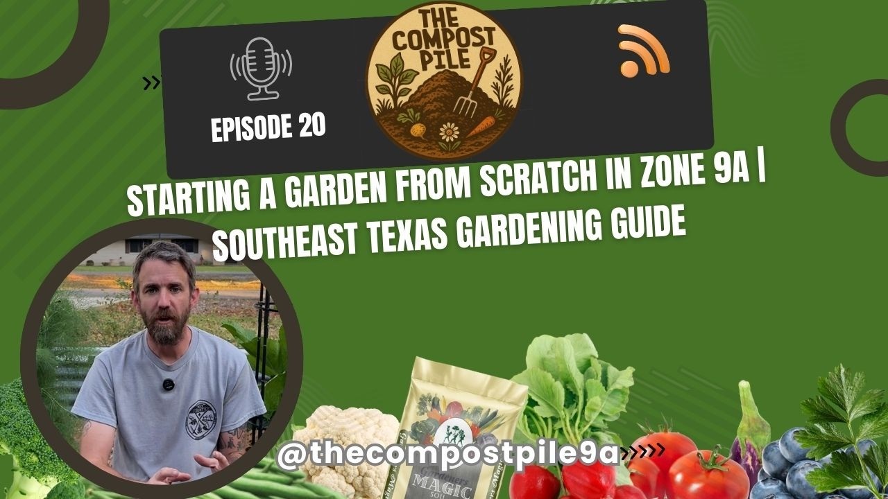 Starting a Garden from Scratch in Zone 9a | Southeast Texas Gardening Guide