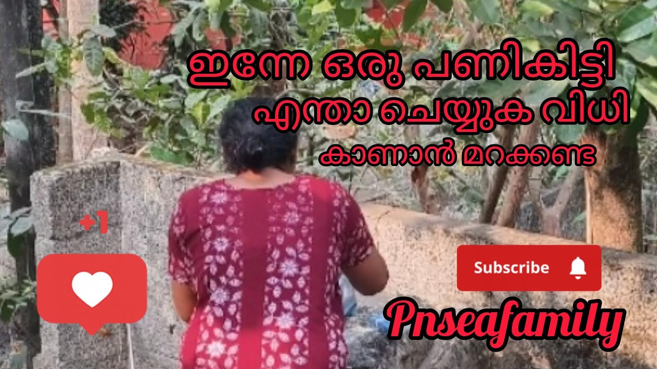 രാവിലെ കിട്ടിയ  പണി #comedy