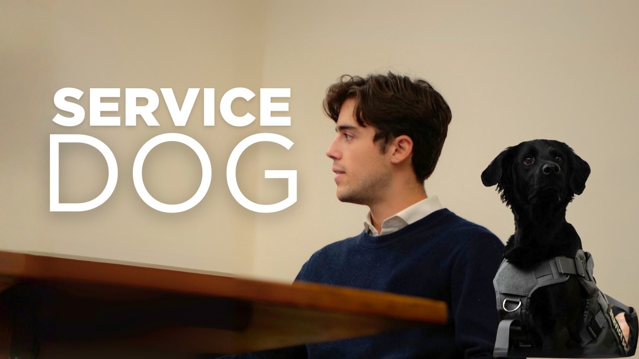 "SERVICE DOG" (2025) | Comedy Short Film | Crowned Lion Innovative Pictures