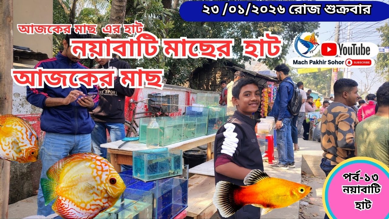 সবথেকে বড় মাছ পাখির হাট পর্ব-১৩ Largest aquarium #fish market #khulna খালিশপুর,নয়াবাটি , খুলনা
