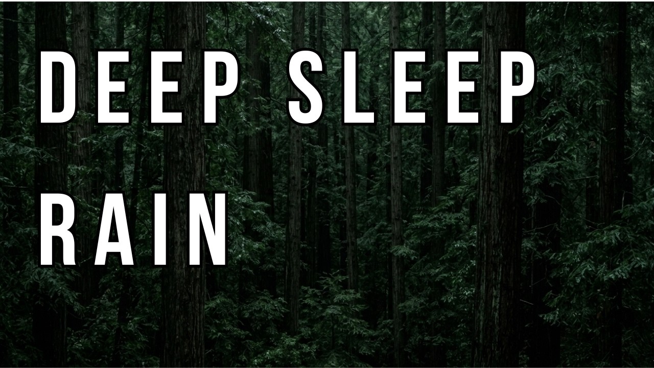 Rain Sounds for Deep Sleep 🌧️ Dark Redwood Forest at Night | No Thunder | Calming Nature Ambience