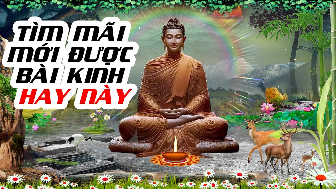 B&agrave;i Kinh Hay Tr&ecirc;n Mạng Bấy L&acirc;u Nay | Tụng Kinh Tại Gia
