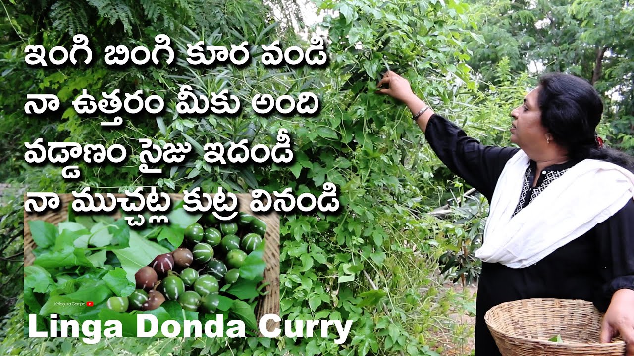 Linga Donda curry/Live village life with me in Hyderabad/Medicinal leafy vegetable/ lolipop climber