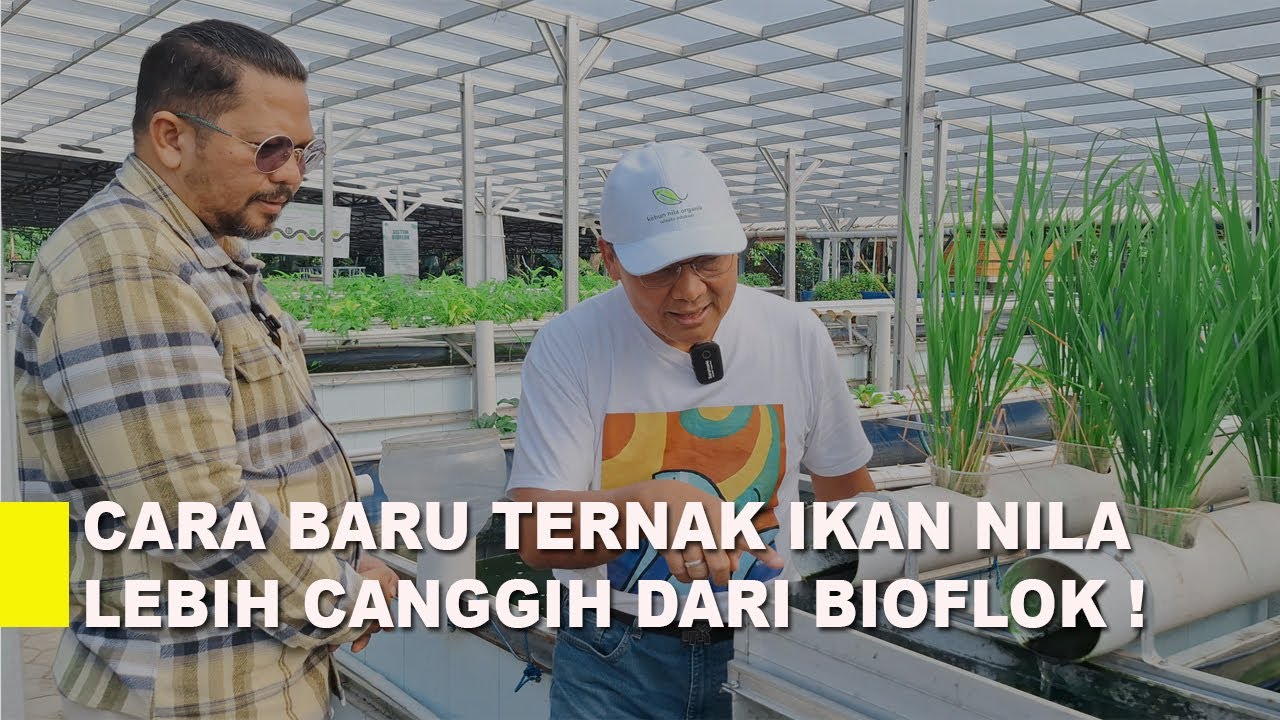 Cerita Pak Roni: Mati Lampu 2 Jam! Bioflok KO, RAS Tetap Aman  Ini Alasannya !