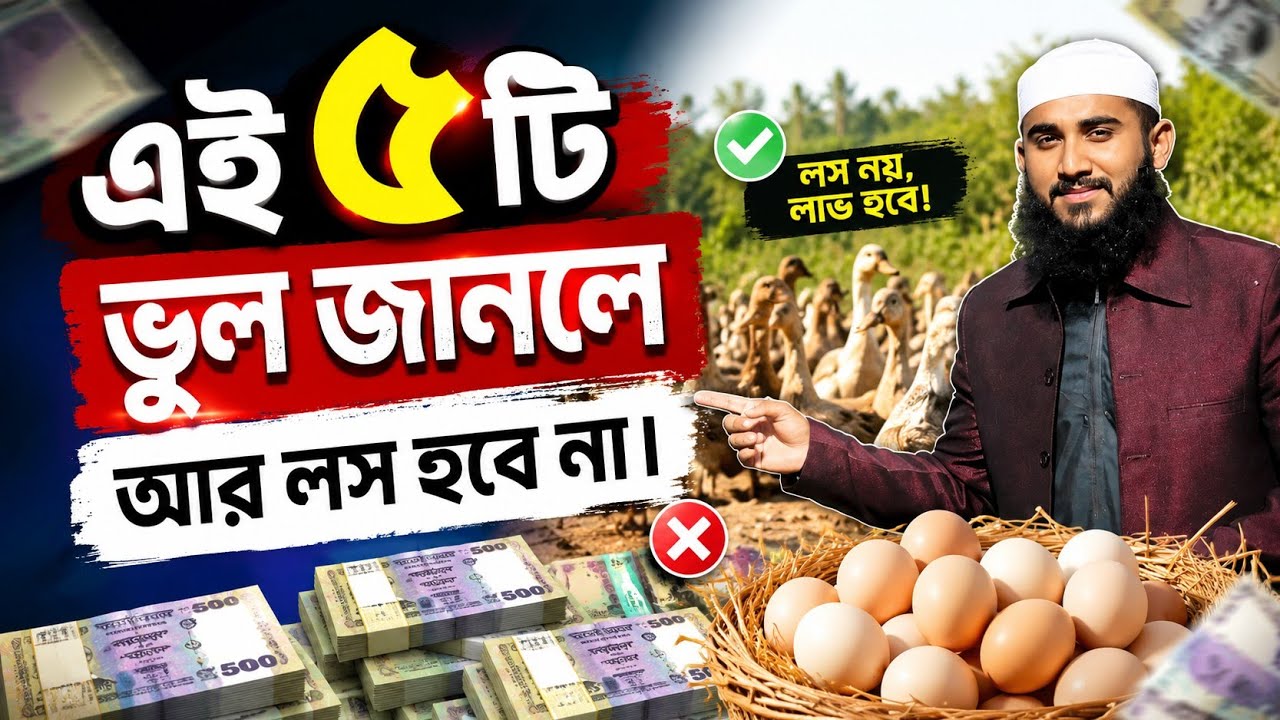 হাঁস পালন লস কেন হয়? এই ৫টি ভুল জানলে আর লস হবে না | হাঁসের খামার গাইড | তাক্বওয়া হাঁসের খামার