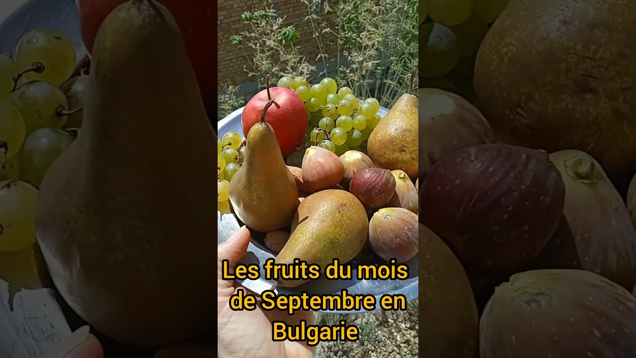 L'automne arrive 🍁🍎🍃#fruits #autumn #automne #mangersain