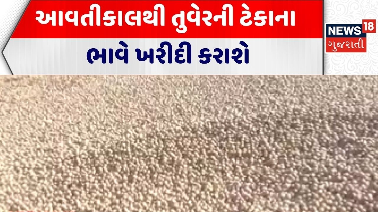 Gir Somnath Market Yard | આવતીકાલથી તુવેરની ટેકાના ભાવે ખરીદી કરાશે | Farmers | Market Yard