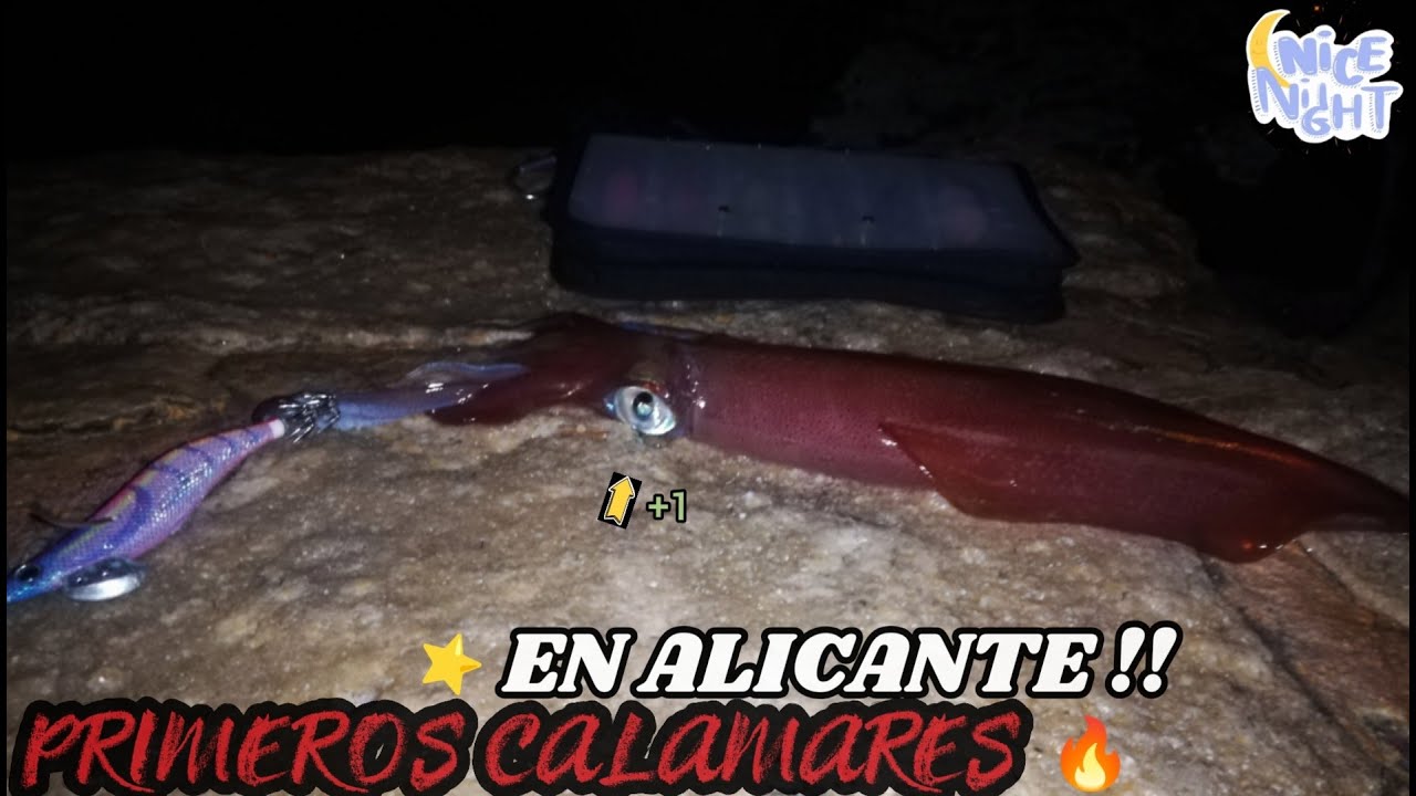 #EP 2 PRIMEROS CALAMRES EN ALICANTE !! JORNADA DE EGING !!