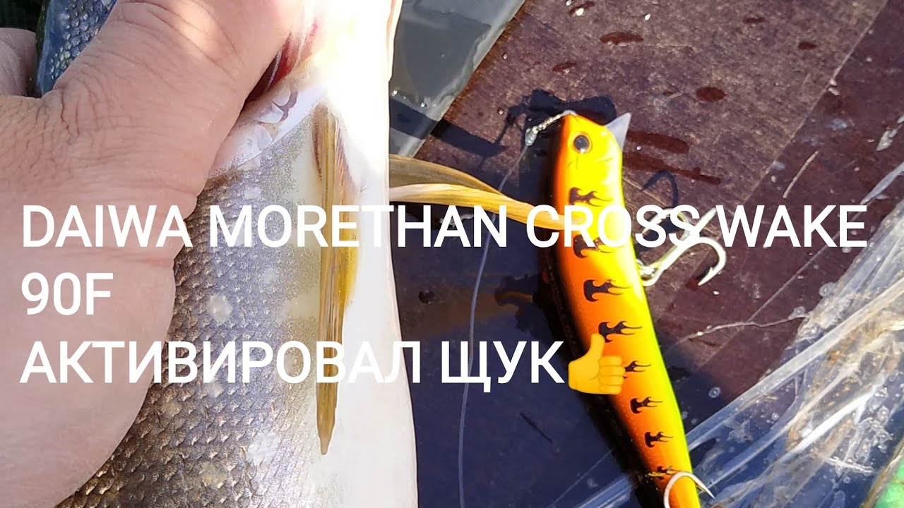 Воблер Daiwa Morethan Cross Wake 90SSR-F и Strike Pro Aquamax Shad 50 активировали клев щуки!
