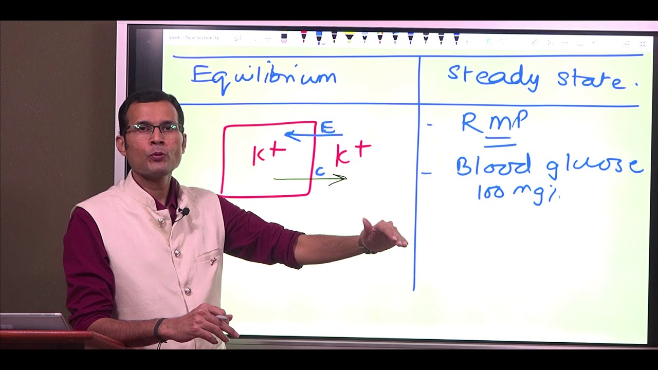 Equilibrium potential (Part 1): Concept of equilibrium  #viveksirsphysiology #vsp