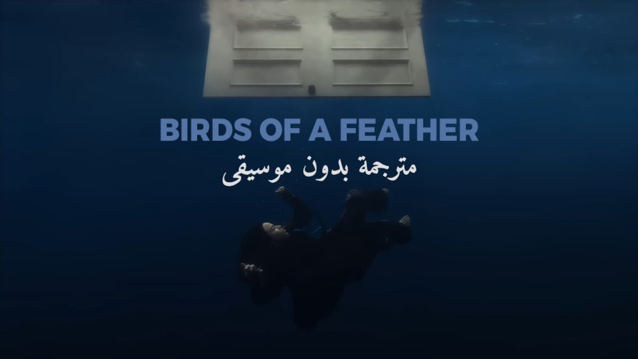 Billie Eilish - BIRDS OF A FEATHER | Acapella Lyric Video | مترجمة بدون موسيقى