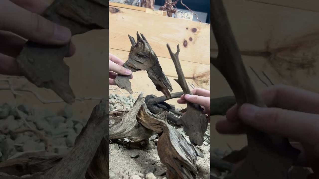 CK FISH WORLD AQUASCAPING DRIFTWOOD AND ROCKS (uncut part 2)