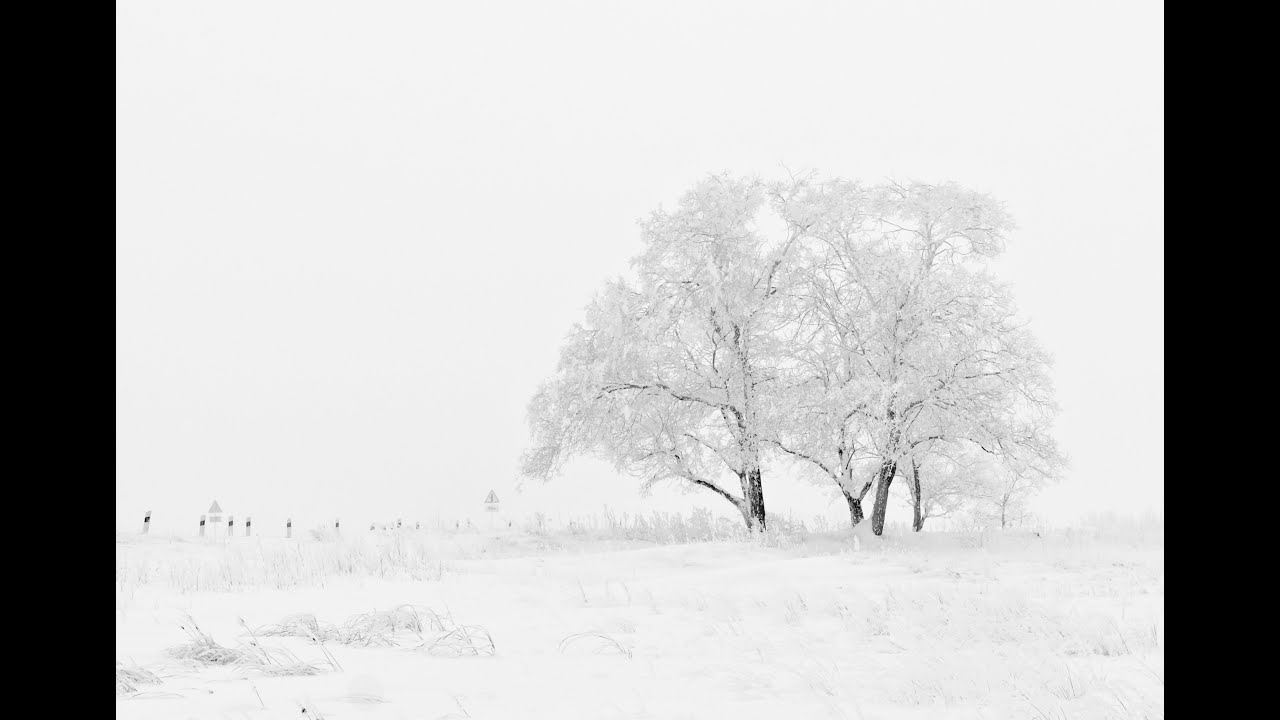 Steve Jablonsky - Infinite White