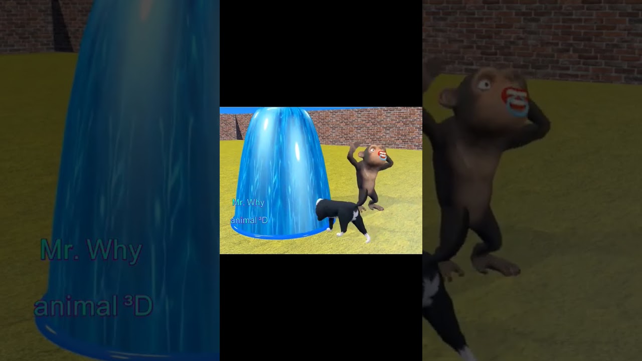 #animals