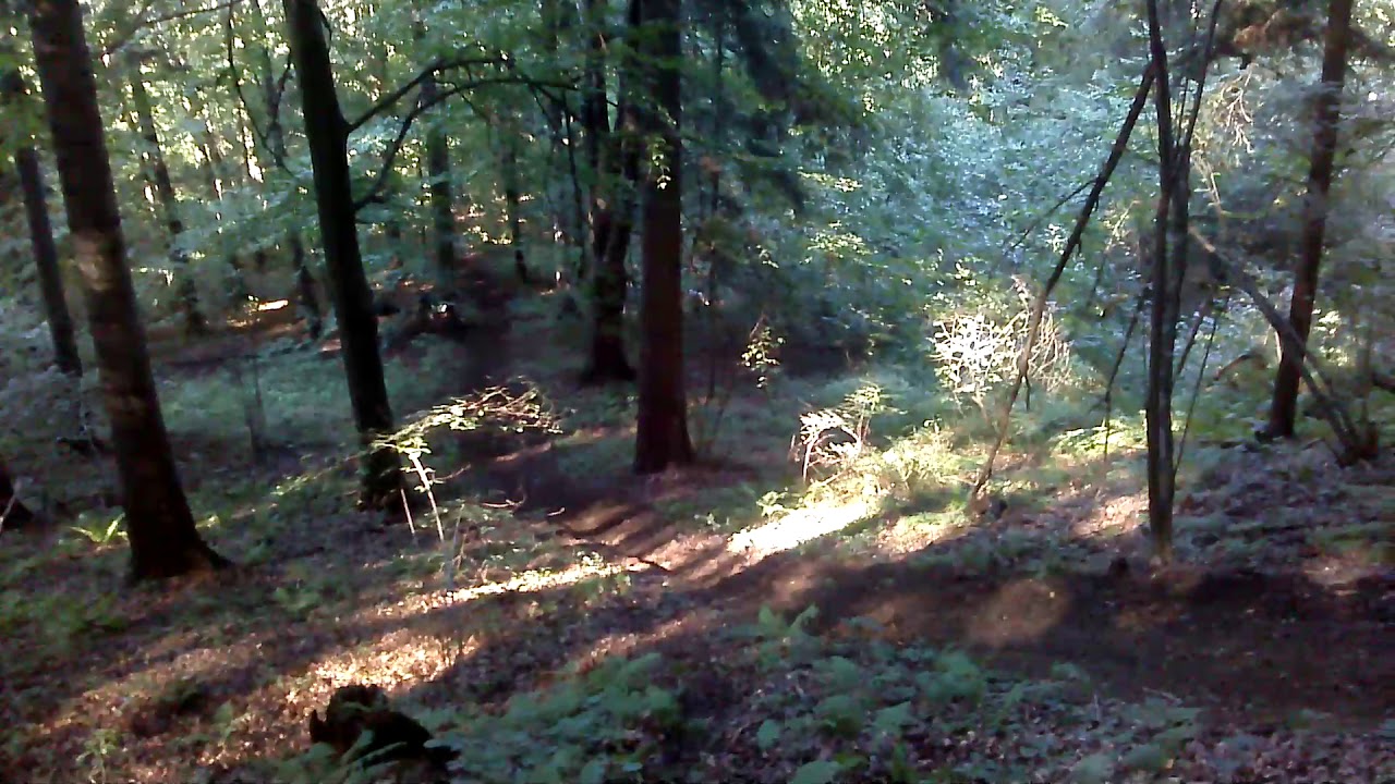 2T VS 4T RACE TO HILL!