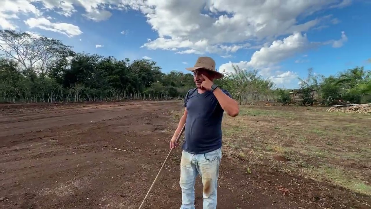La verdad yo no sabía que podia hacer de todo 🤔🤔😳