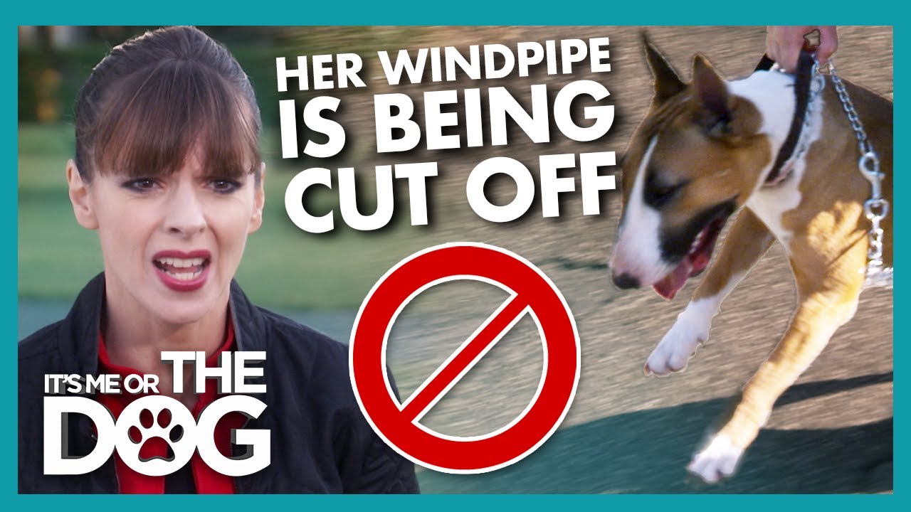 Victoria is Appalled to see Damage Done to Dog's Throat on Walk | It's Me or The Dog