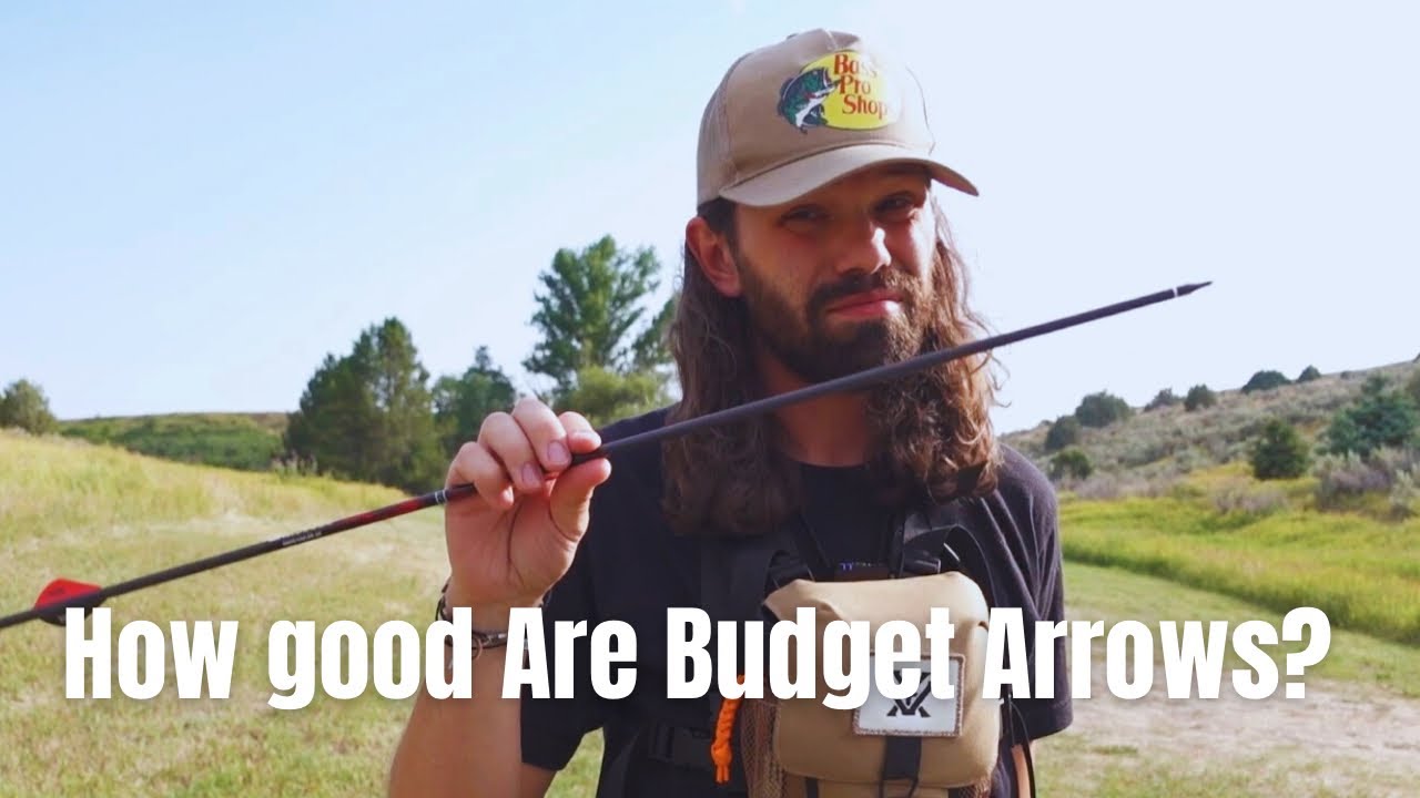 Sanlida Dragon 10 Arrows: BEST BUDGET ARROWS FOR TAC??