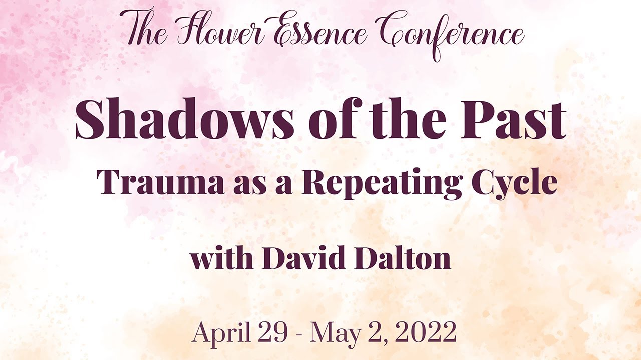 Shadows of the Past — Trauma as a Repeating Cycle with David Dalton (excerpt)