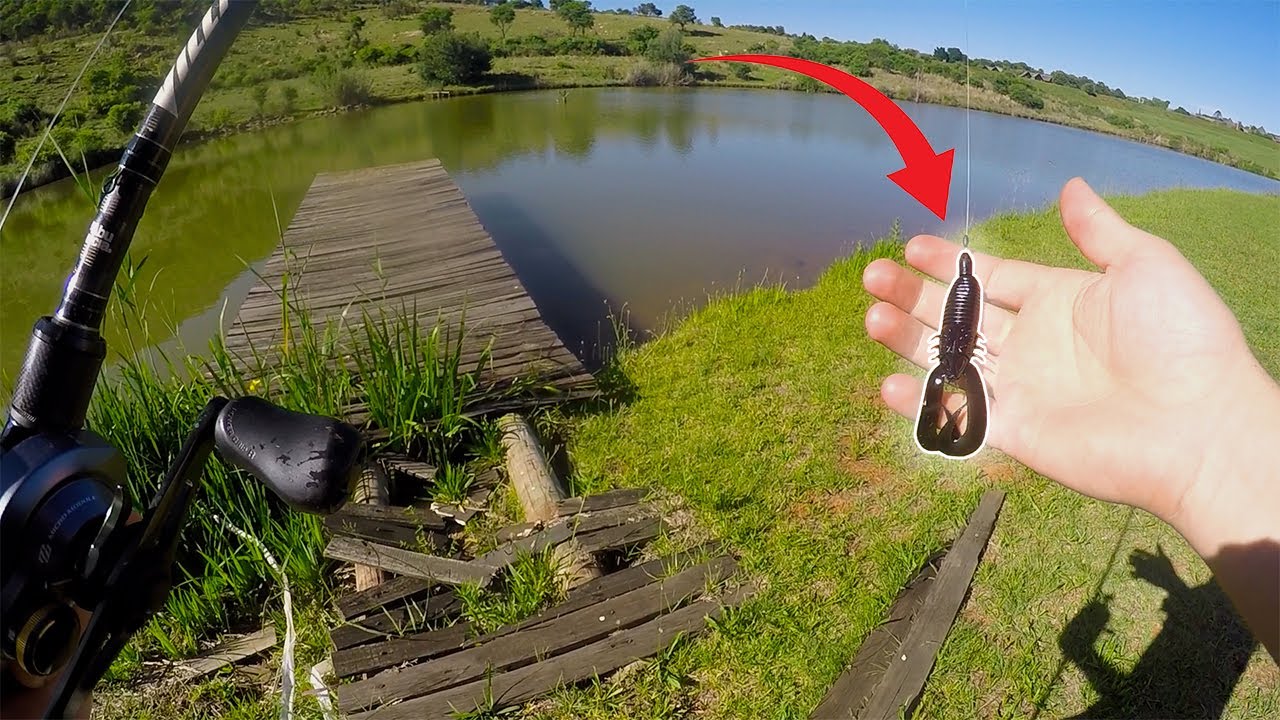 Летняя ловля окуня с использованием наживки для краба. (при участии RTHFishingSA) Kloofzight Lodg...