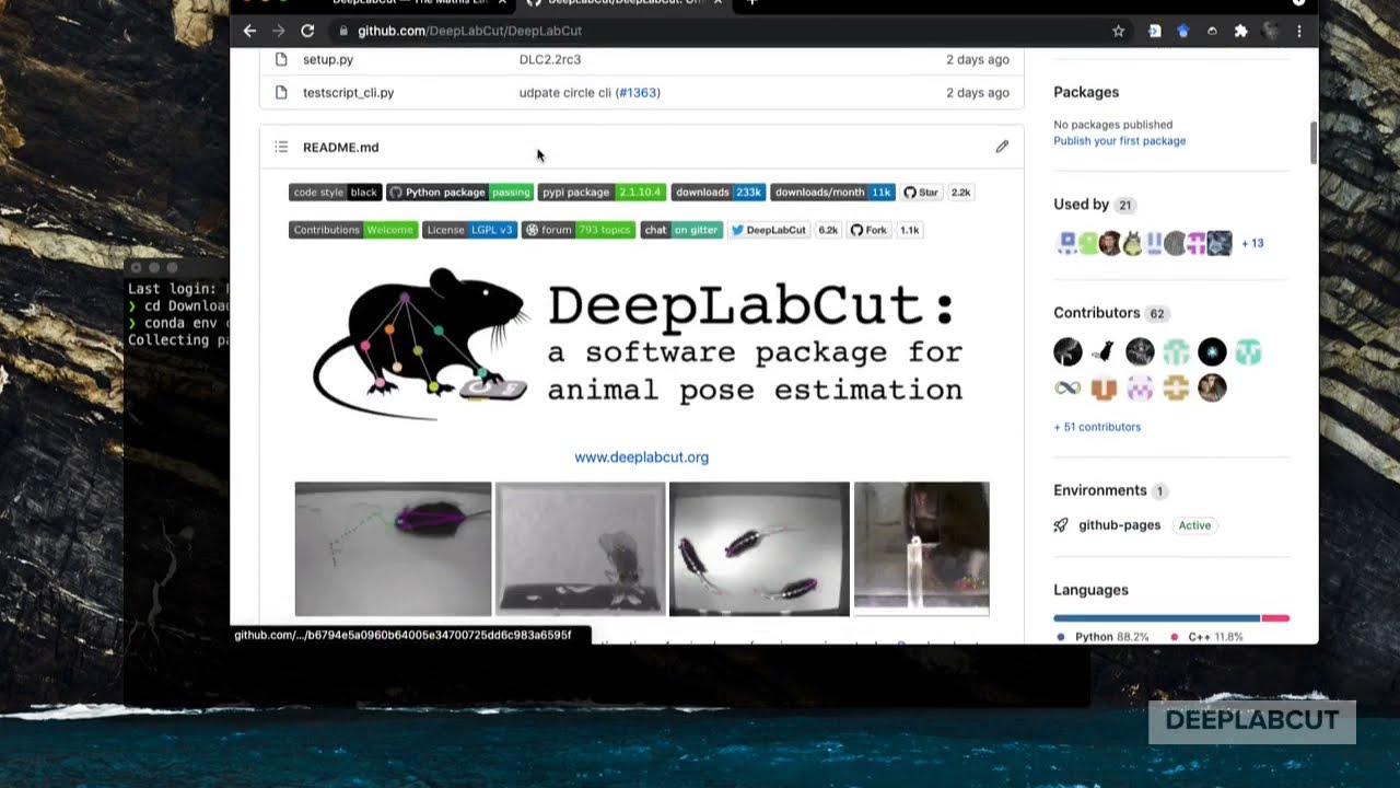 How to install DeepLabCut in 3 minutes