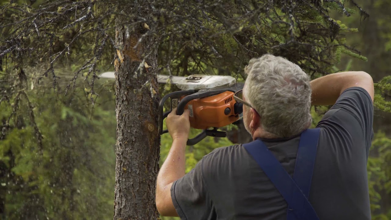 | Yukon Exploration |   Gold mining on boarder of Alaska and Canada
