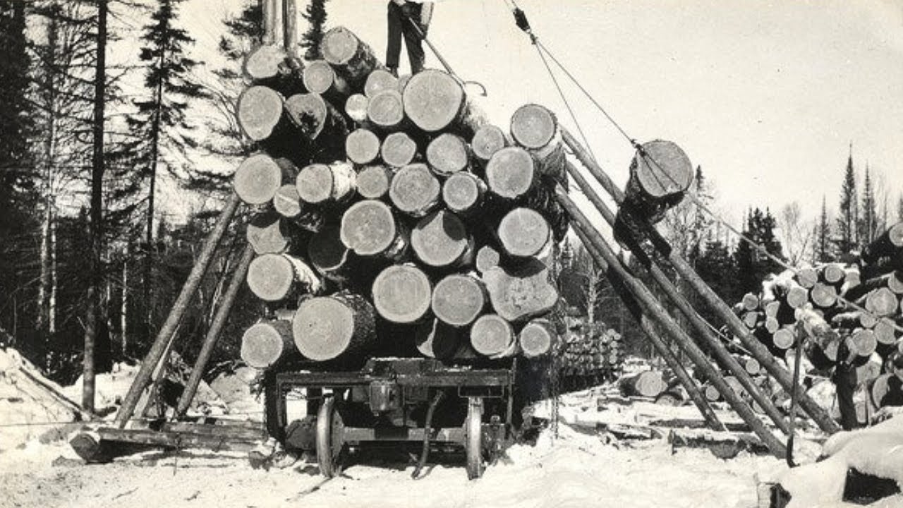 Logging Redwood Giants in the 1940s &ndash; Vintage Machinery at Work