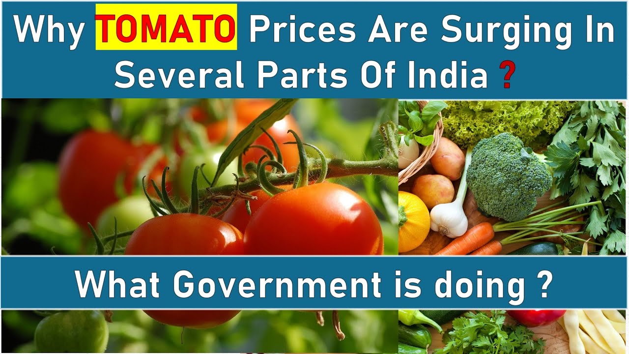 Why TOMATO prices are surging all over India? Steps Govt. is taking to tackle the increasing prices?