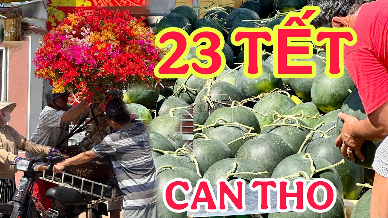 23AL RỘN  RÀNG SẮC XUÂN NGÀY ĐƯA ÔNG TÁO TP CẦN THƠ 🌺10/2/202🌺cần thơ ký sự