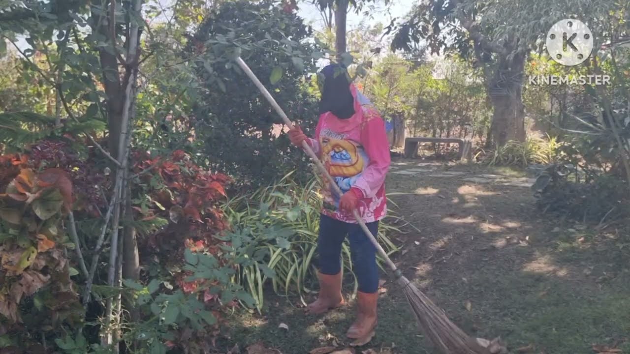 เจอแบบนี้ในสวนหย่อมต้องรีบจัดการทันที?