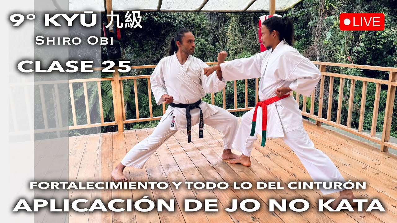 CLASE 25: APLICACIÓN DE JO NO KATA EN EL KUMITE y todo lo necesario para el 9 KYŪ