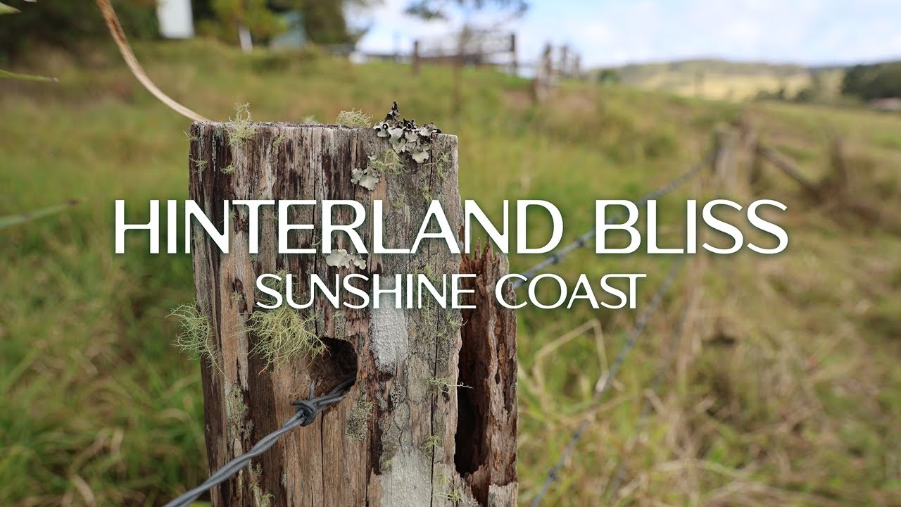 🌿 Pure Hinterland Bliss Acreage Property | Bellthorpe, QLD | Lifestyle Acreage for Sale