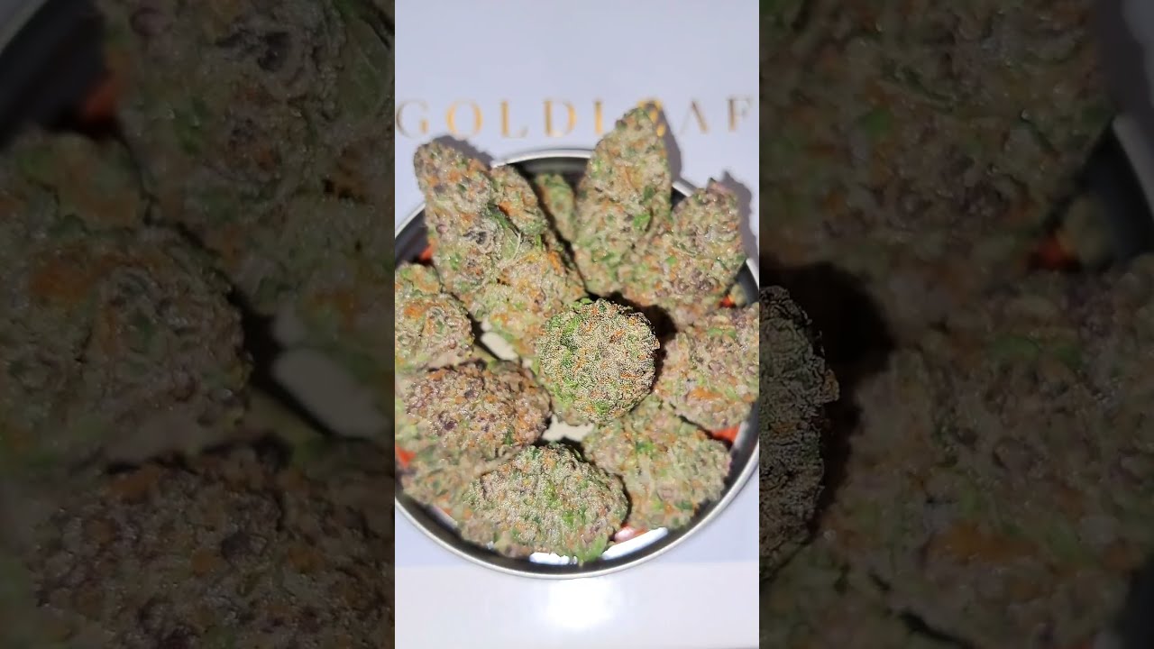 Superboof Organic Living Soil Ideal Cannabis Goldflower Dispensary Florida #Superboof #Florida