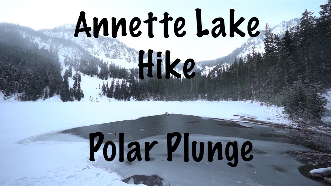 ANNETTE LAKE WASHINGTON CINEMATIC VLOG | POLAR PLUNGE