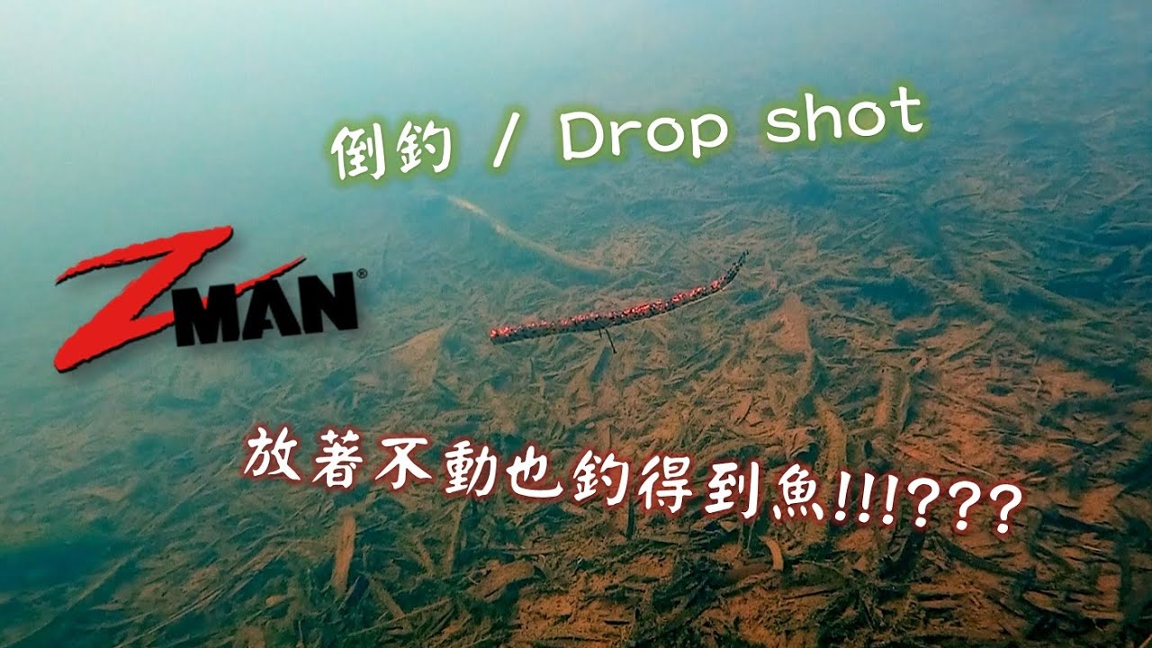 放著不動魚就來咬!!!??倒釣/ZMAN Finesse Wormz 4吋/7吋 簡單介紹與實戰【路亞】【大嘴鱸魚】【市外桃源】