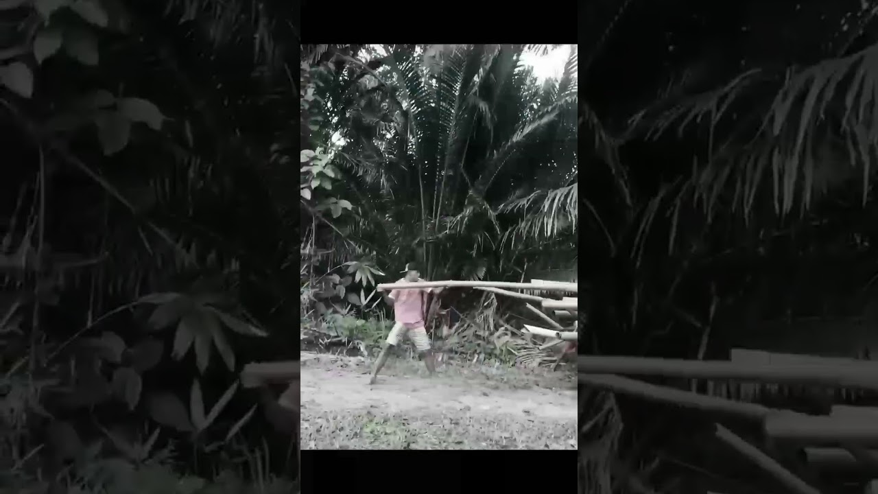 Perang meriam kota Serui🔥😎