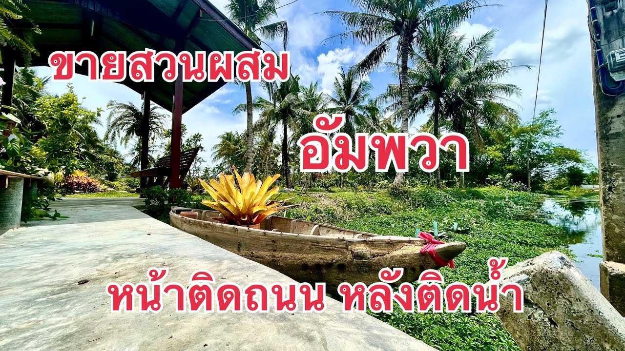 ที่ดินสวย ขายสวนมะพร้าวพร้อมไม้ผลนานาพันธุ์ 6ไร่33ตรว น้ำไฟครบ ไร่ละ2ล้านบาท อ.อัมพวา จ.สมุทรสงคราม