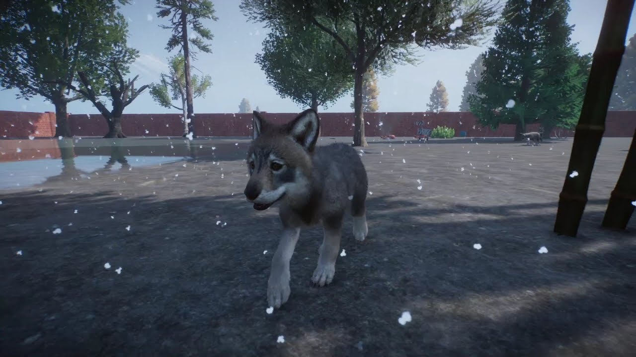 Planet Zoo (PC)(English) #51 6 Minutes of Timber Wolf