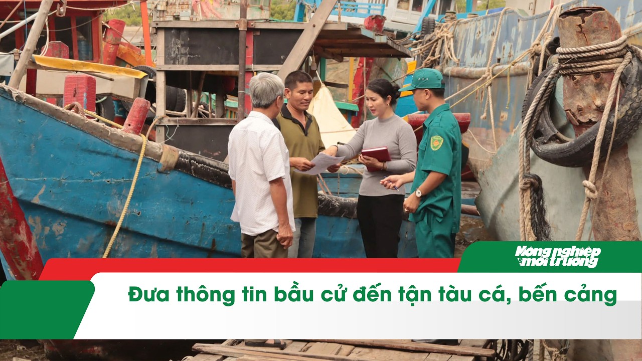 Đưa thông tin bầu cử đến tận tàu cá, bến cảng