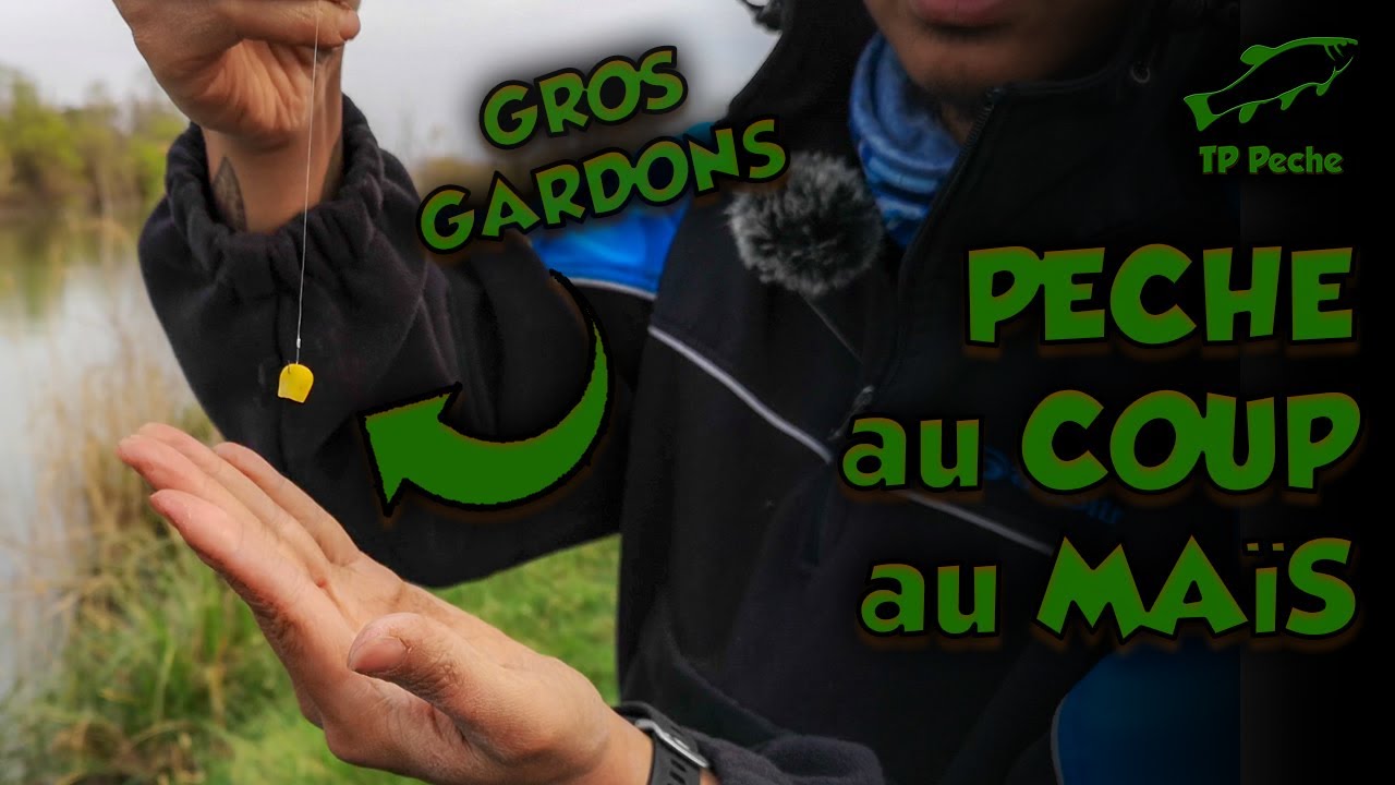 PÊCHE de GROS GARDONS au MAÏS en CANAL
