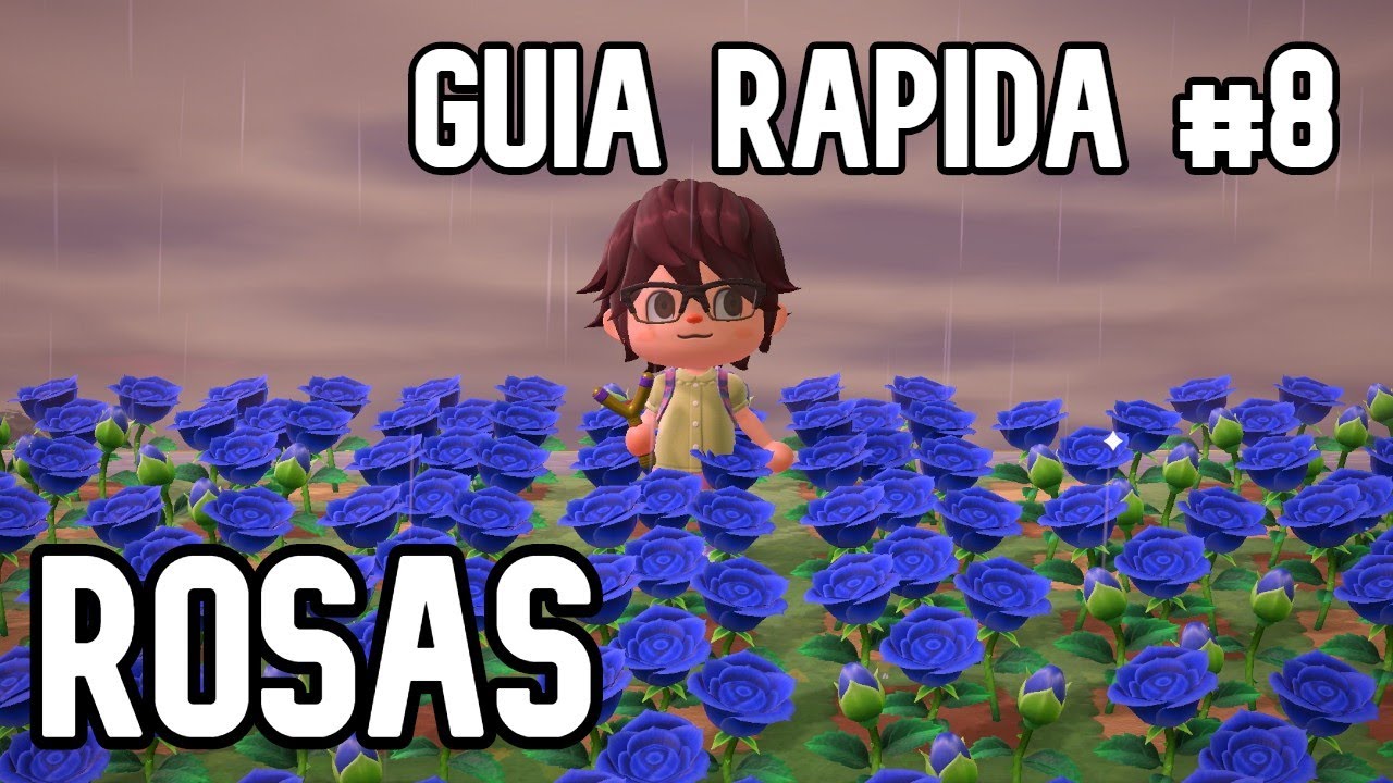 Guía rápida de flores híbridas #8 
