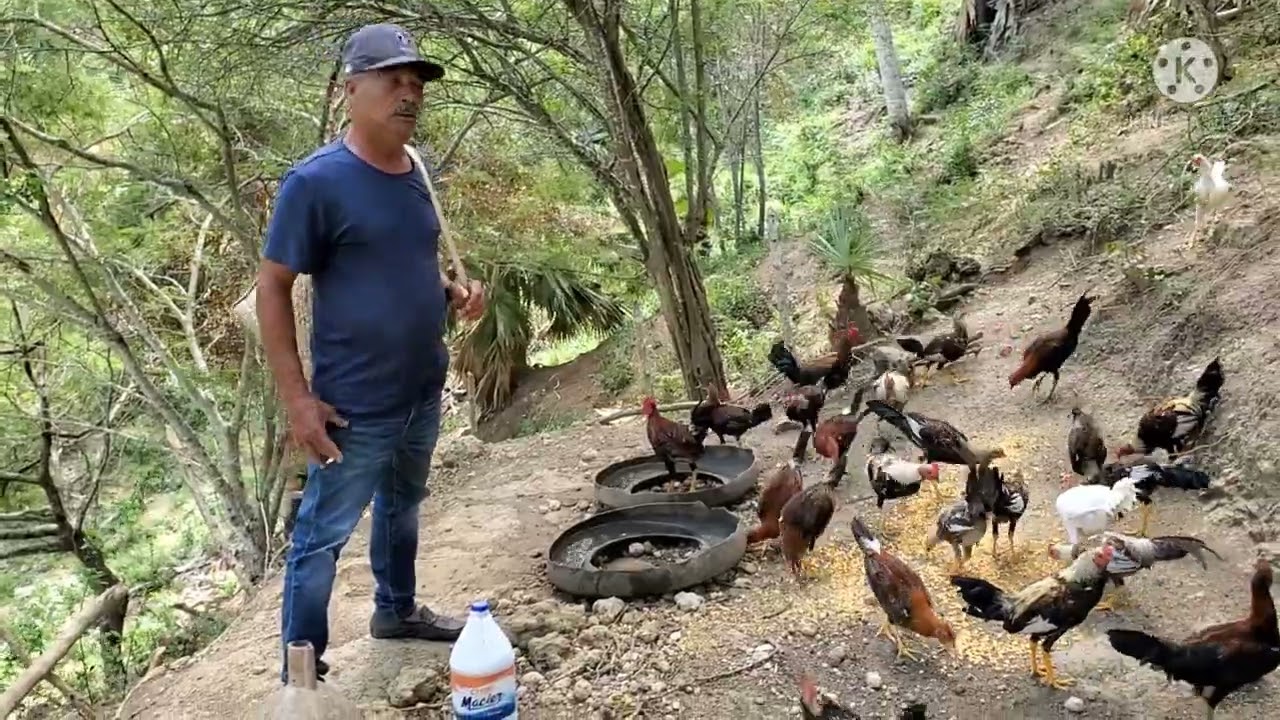 Aquí le presentamos la Nueva Línea de Jíros del Sr. Benito en su Machero...