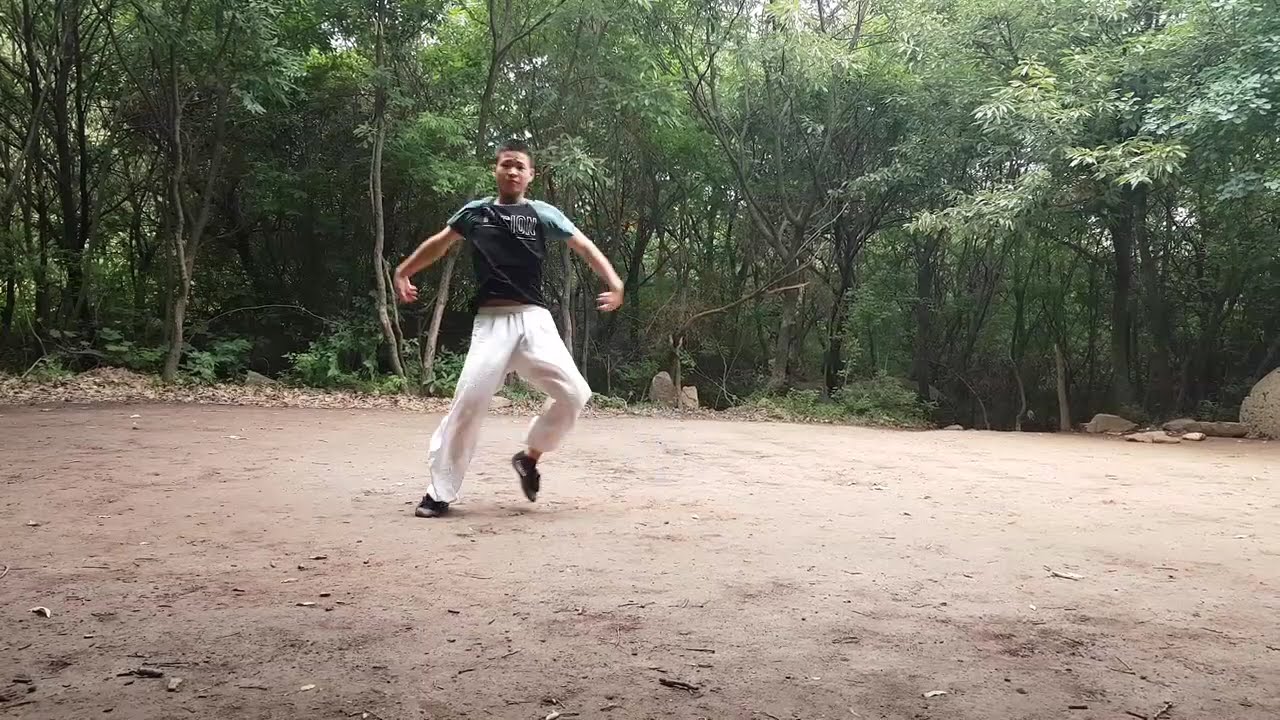 How to learn Chun Tong Quan  (春通拳)