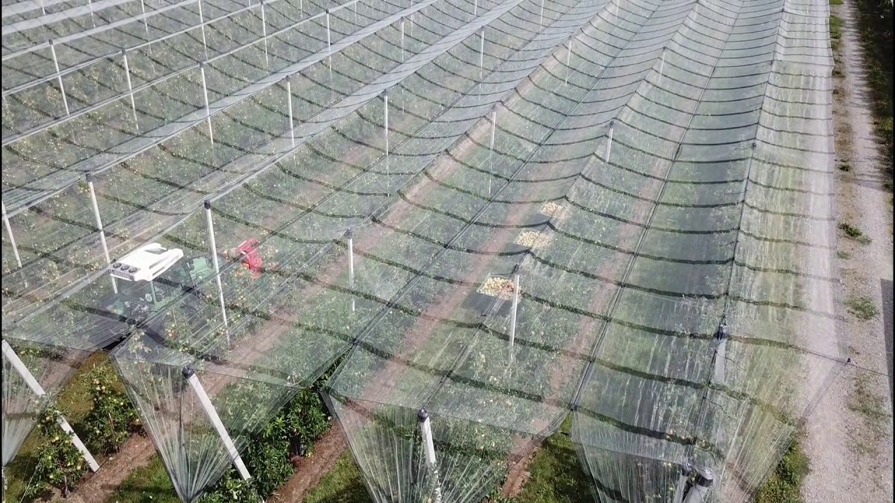 Aedes Verschiebemulchgerät RMV