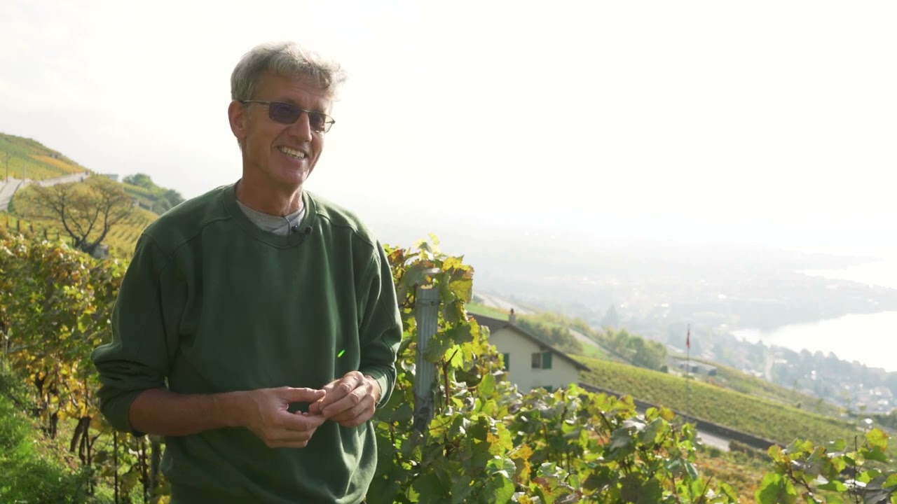 Gianni Bernasconi - Vigneron Encaveur