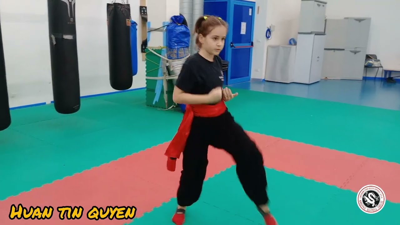 Kung fu forme @LeminilezionidiartimarziAli