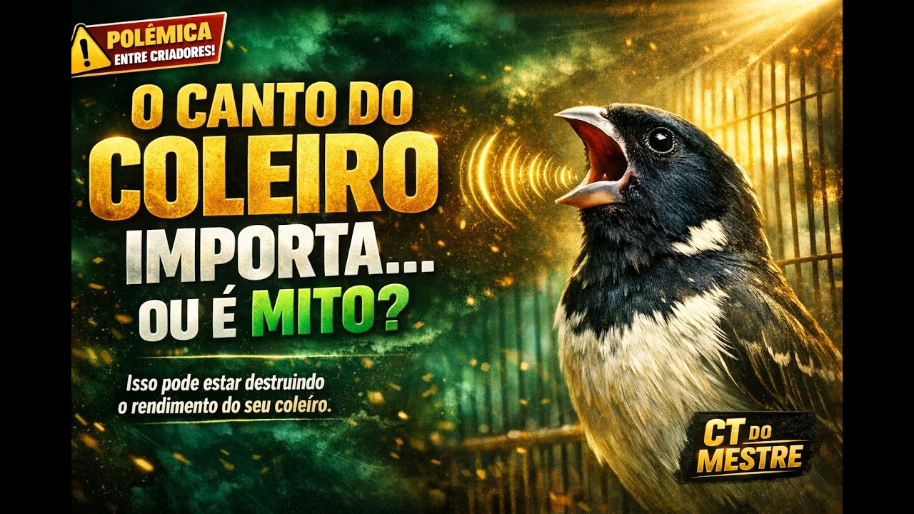 O CANTO DO COLEIRO AINDA IMPORTA OU É MITO? DESCUBRA!