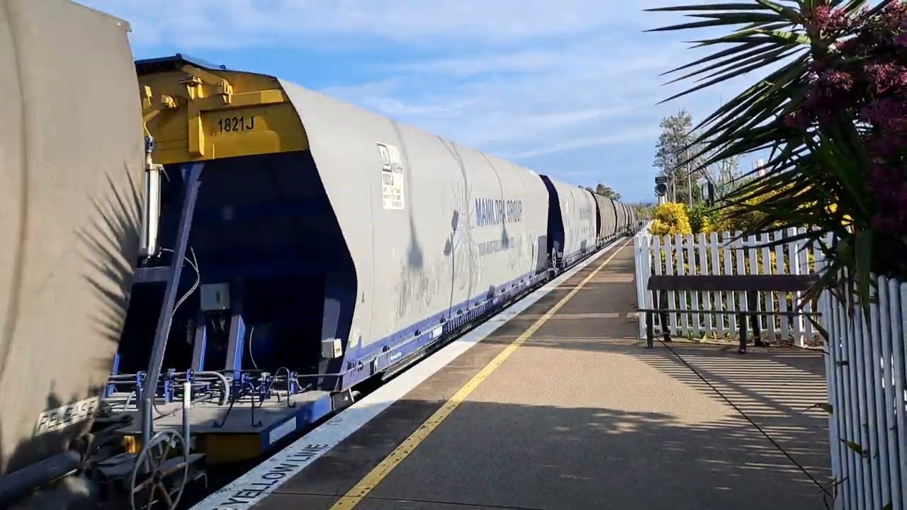 Empty Manildra Grain train through Quirindi destination Narrabri 19/9/25