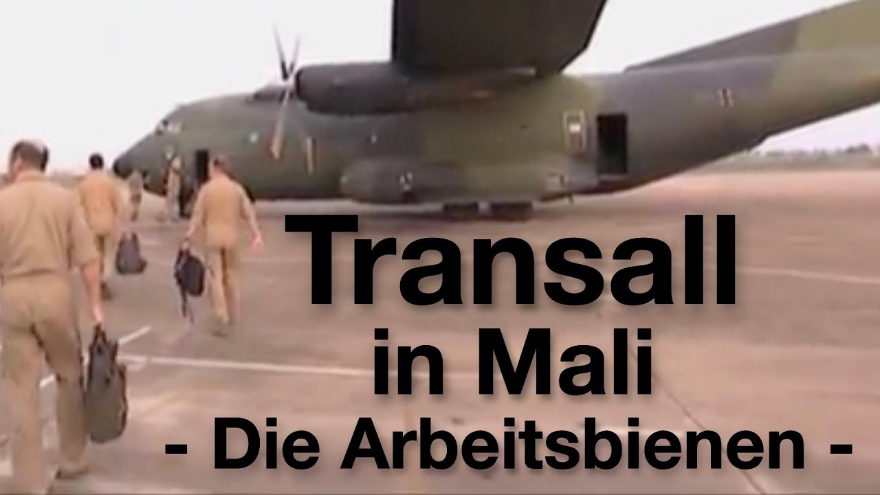 C-160 Transall: Arbeitsbienen für Mali (2016)